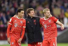 线段窗口完 线段窗口完