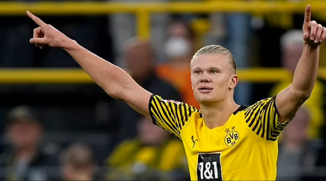 任务引导与 任务引导与